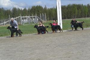 Kennel Opendora's